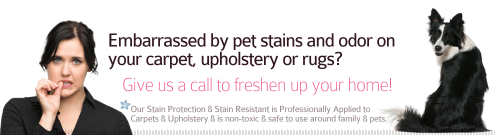 Pet Stain & Odor Removal