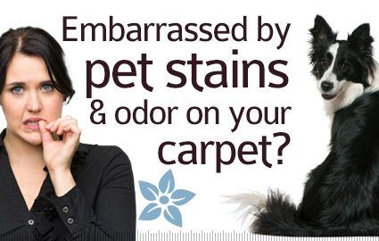 Pet Stain & Odor Removal